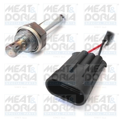 Oxygen Sensor